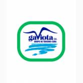 Grupo Gaviota S.A.